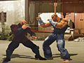 Mchezo The Perfect Fighter