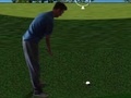 Mchezo Flash Golf 3D