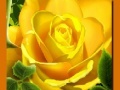 Mchezo Yellow Roses