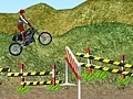 Mchezo Motorcycle Rally