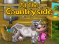 Mchezo At The Countryside