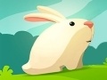 Mchezo Greedy Rabbit