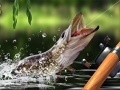 Mchezo Morning catch