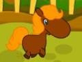 Mchezo Pony Races