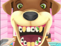 Mchezo Animal Dentist 