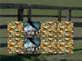 Mchezo Horse Memo Deluxe