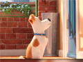 Mchezo Hidden Letters in The Secret Life of Pets