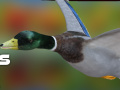 Mchezo Duck Hunter Autumn forest 