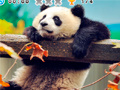 Mchezo Animal Habitats: Find Items