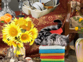 Mchezo Crazy Cat Lady