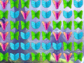 Mchezo Butterfly Collector