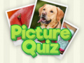 Mchezo 100 Pics