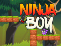 Mchezo Ninja Boy