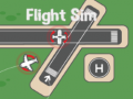 Mchezo Flight Sim