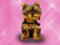 Mchezo Wash Pets Princess Kids    