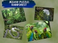 Mchezo Jigsaw Puzzle Rain Forest 