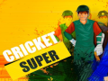 Mchezo Super Cricket      