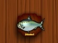 Mchezo Amateur Action Super Fishing