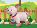 Mchezo Catch The Pig