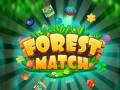 Mchezo Forest Match