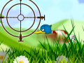 Mchezo Quack Hunt