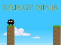 Mchezo Springy Ninja