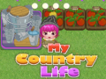 Mchezo My County Life
