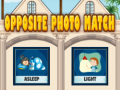 Mchezo Opposite photo match