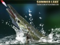 Mchezo Summer Lake