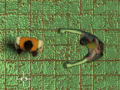 Mchezo Maze Of Infection