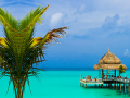 Mchezo Tropical Paradise