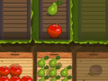 Mchezo Fruit Gardener
