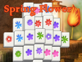 Mchezo Spring Flower