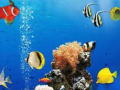 Mchezo Sea Underwater Difference