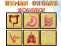 Mchezo Human Organs Scanner