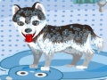 Mchezo My Cute Dog Bathing