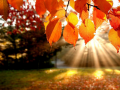 Mchezo Jigsaw Puzzle: Autumn