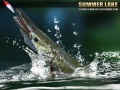 Mchezo Summer Lake 1.5
