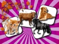 Mchezo Domestic Animal Memory Challenge
