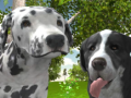 Mchezo Dog Simulator 3d