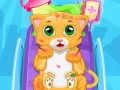 Mchezo Little Cat Doctor