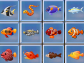 Mchezo Find The Fish