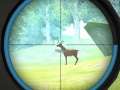 Mchezo Hunter Training