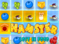 Mchezo Hamster Lost In Food