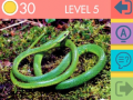 Mchezo 15 Picture Quiz