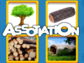 Mchezo Assotiation 