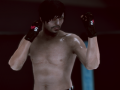 Mchezo MFS: MMA Fighter
