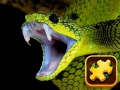 Mchezo Snake Puzzle Challenge