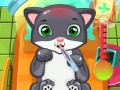 Mchezo Cat Doctor