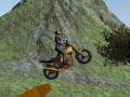 Mchezo Dirt Bike Rider